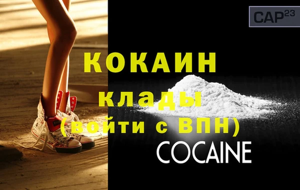 крисы Абаза