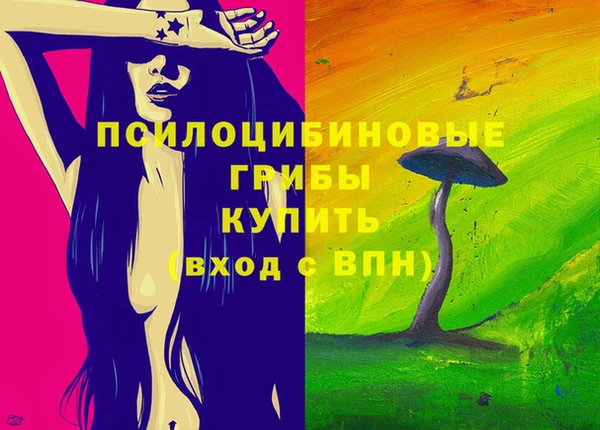 героин Покачи