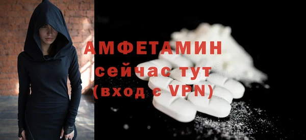 крисы Абаза