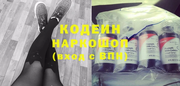 крисы Абаза