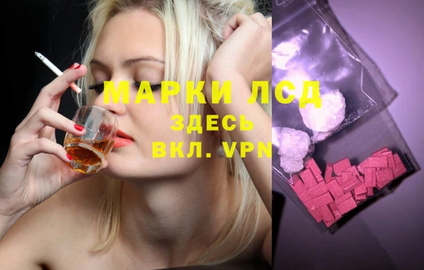 крисы Абаза