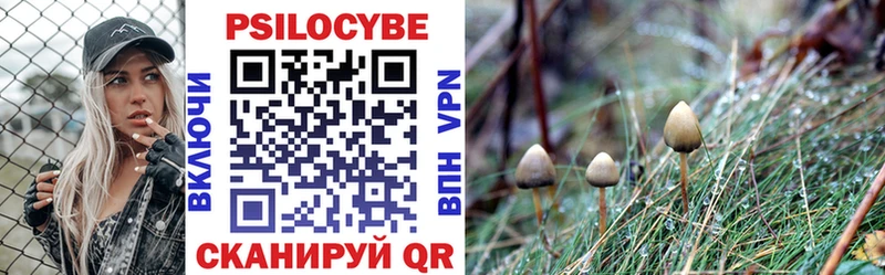shop состав  наркотики  ОМГ ОМГ ONION  Кумертау  Галлюциногенные грибы Psilocybine cubensis 